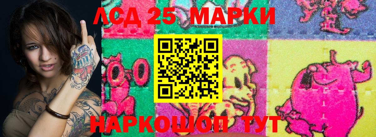 где продают наркотики  Наркотические марки 1,8мг  Вход с VPN  Марки N-bome  Белая Калитва  Наркотические марки 1,8мг 